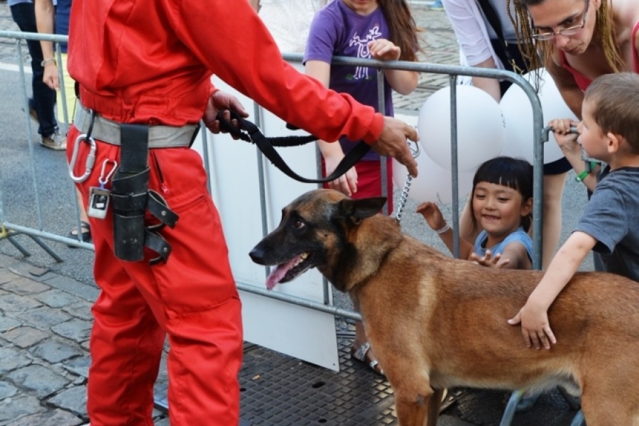 Les chiens de la Protection civile se laissent volontiers caresser par le public